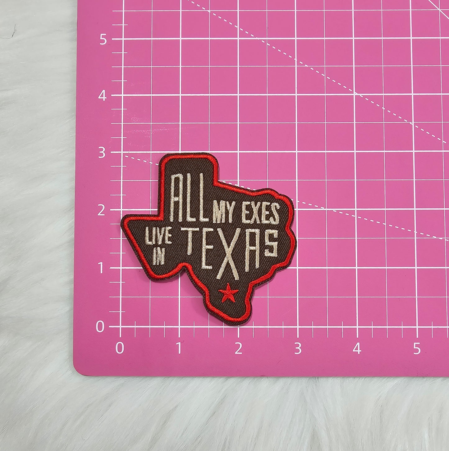 'All My Exes Live In Texas' Brown and Red Texas State Woven Embroidery Iron On Patch