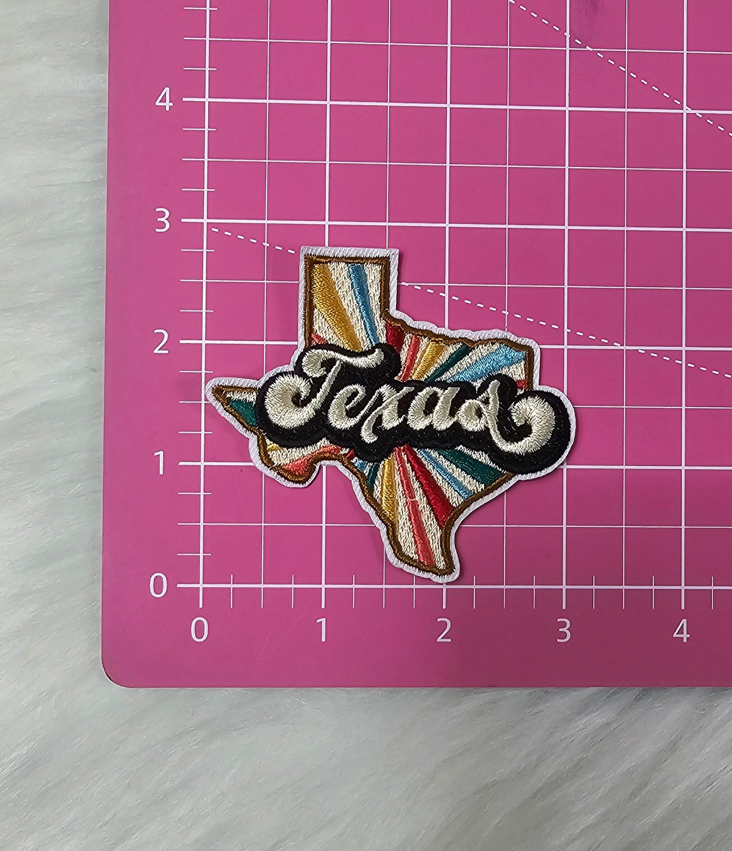 Vintage Retro Colorful Texas Embroidery Iron On Patch