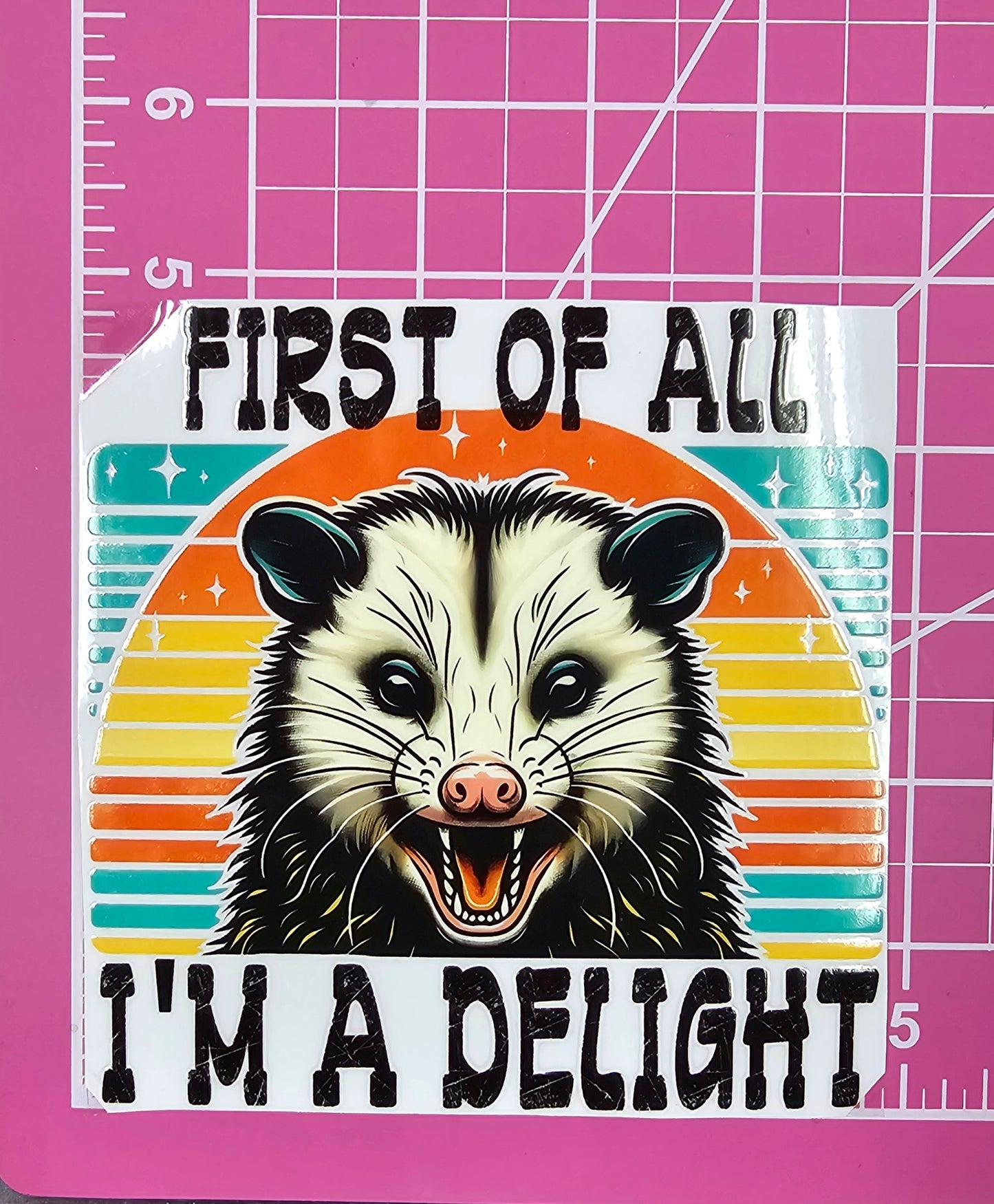 First Of All I'm A Delight Trash Opossum UV Transfer