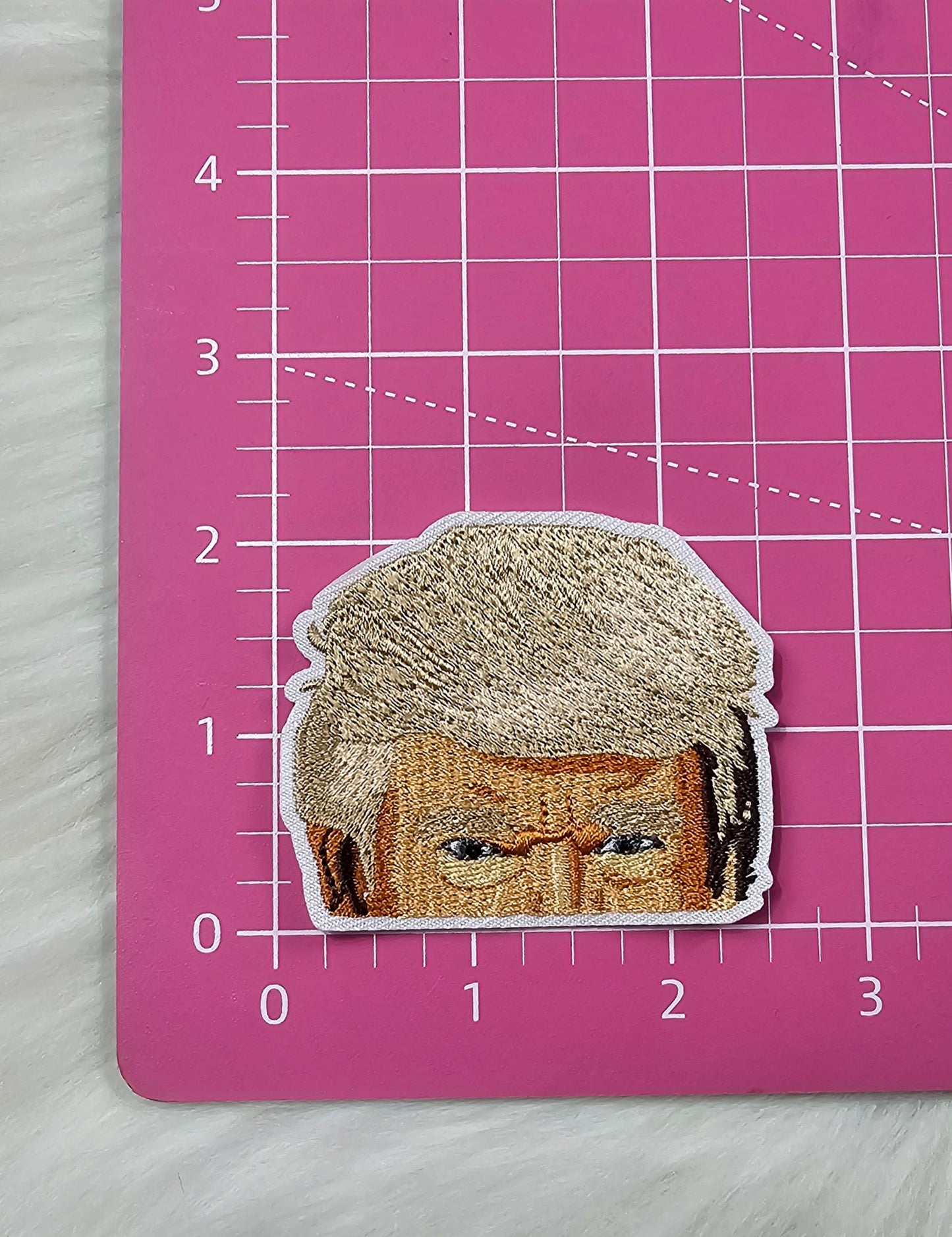 Trump Watching You Embroidery Iron On Patch