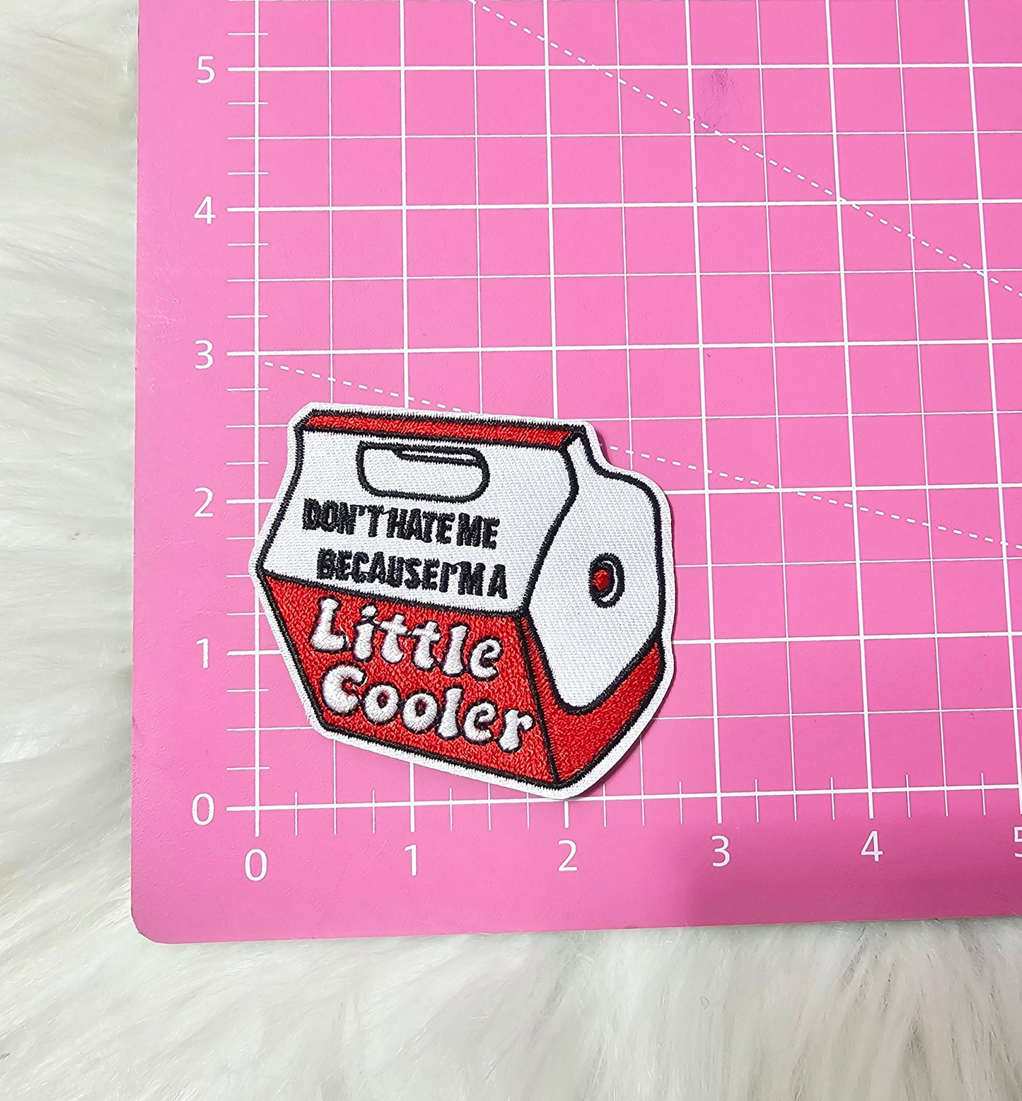 'Don't Hate Me Because I'm A Little Cooler' Woven Embroidery Iron On Patch