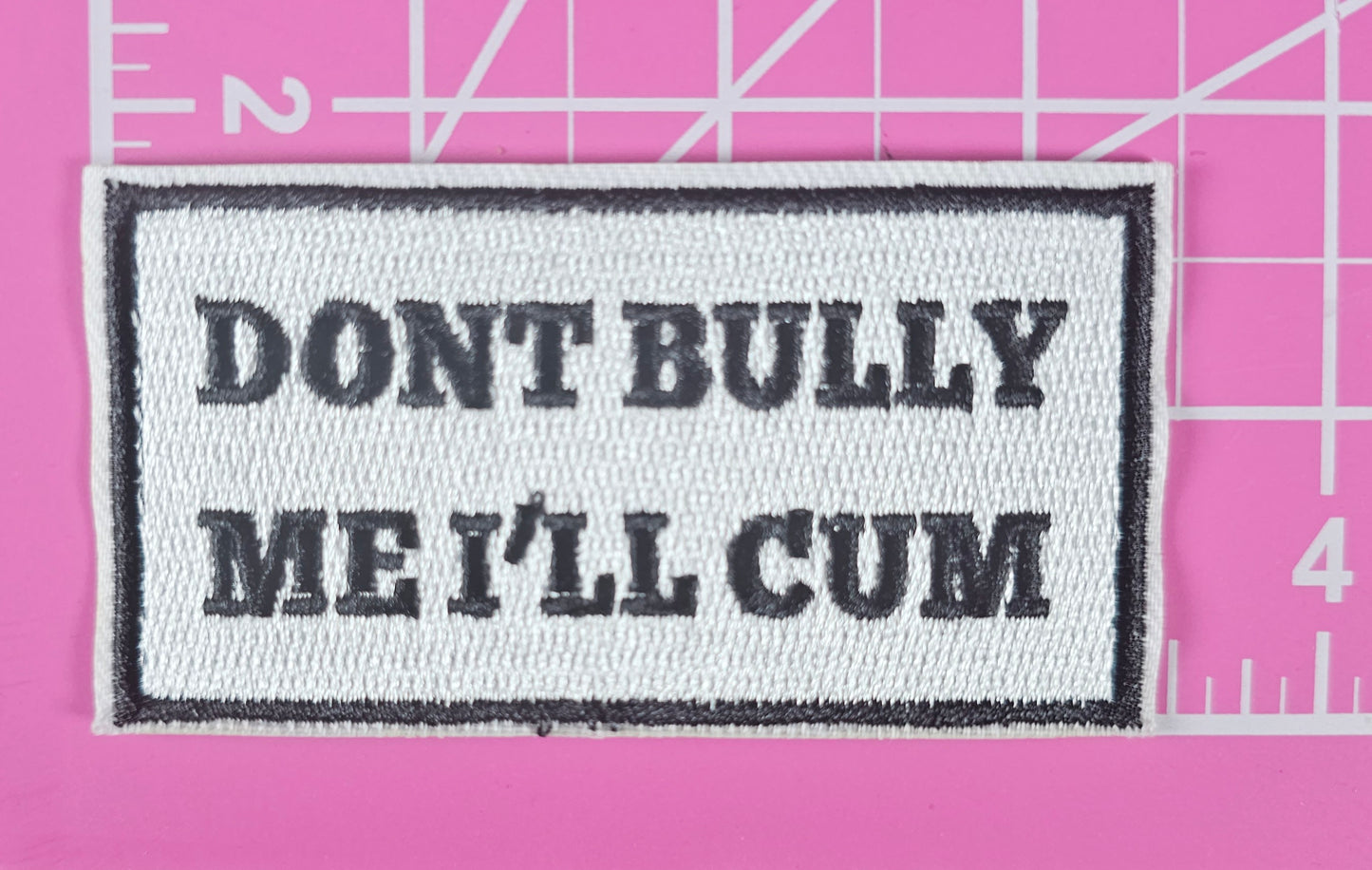 Don't Bully Me I'll Cum Embroidery Iron On Patch