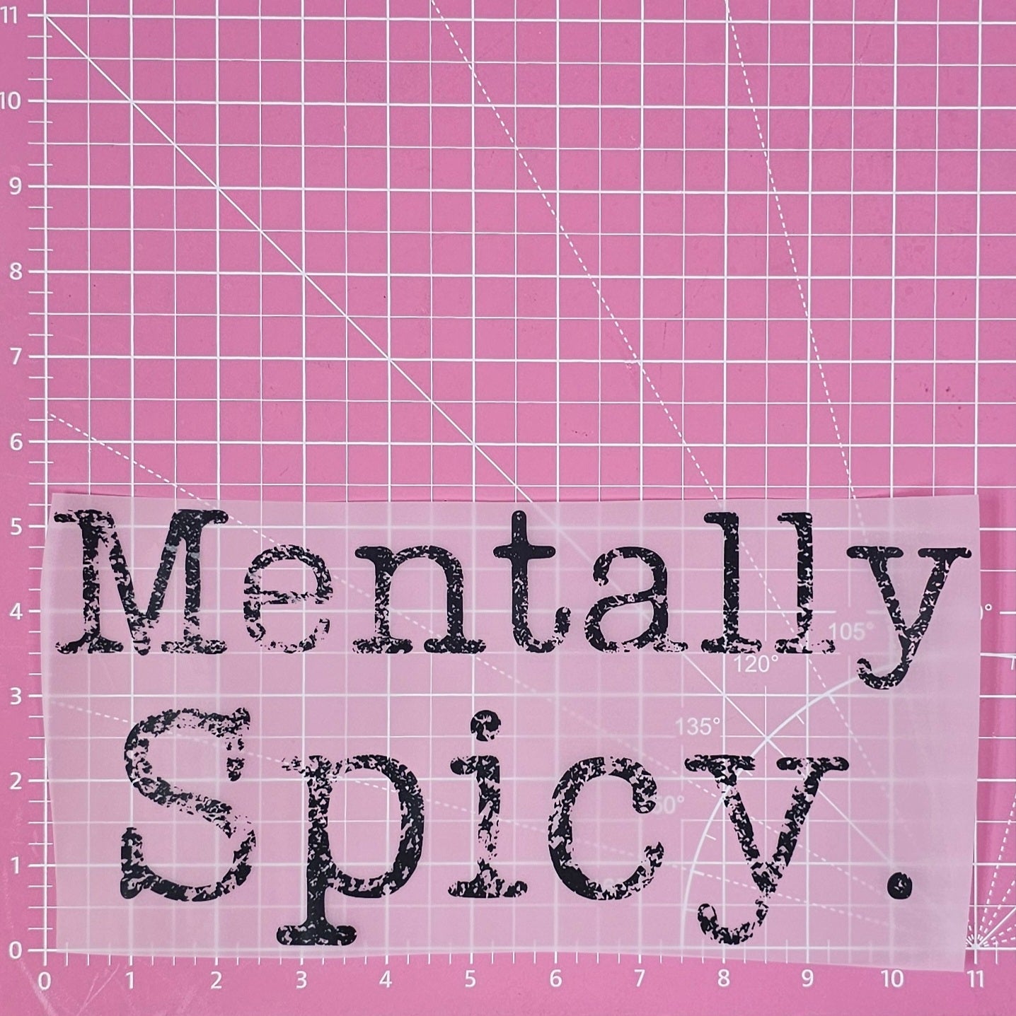 Mentally Spicy DTF Iron On Transfers