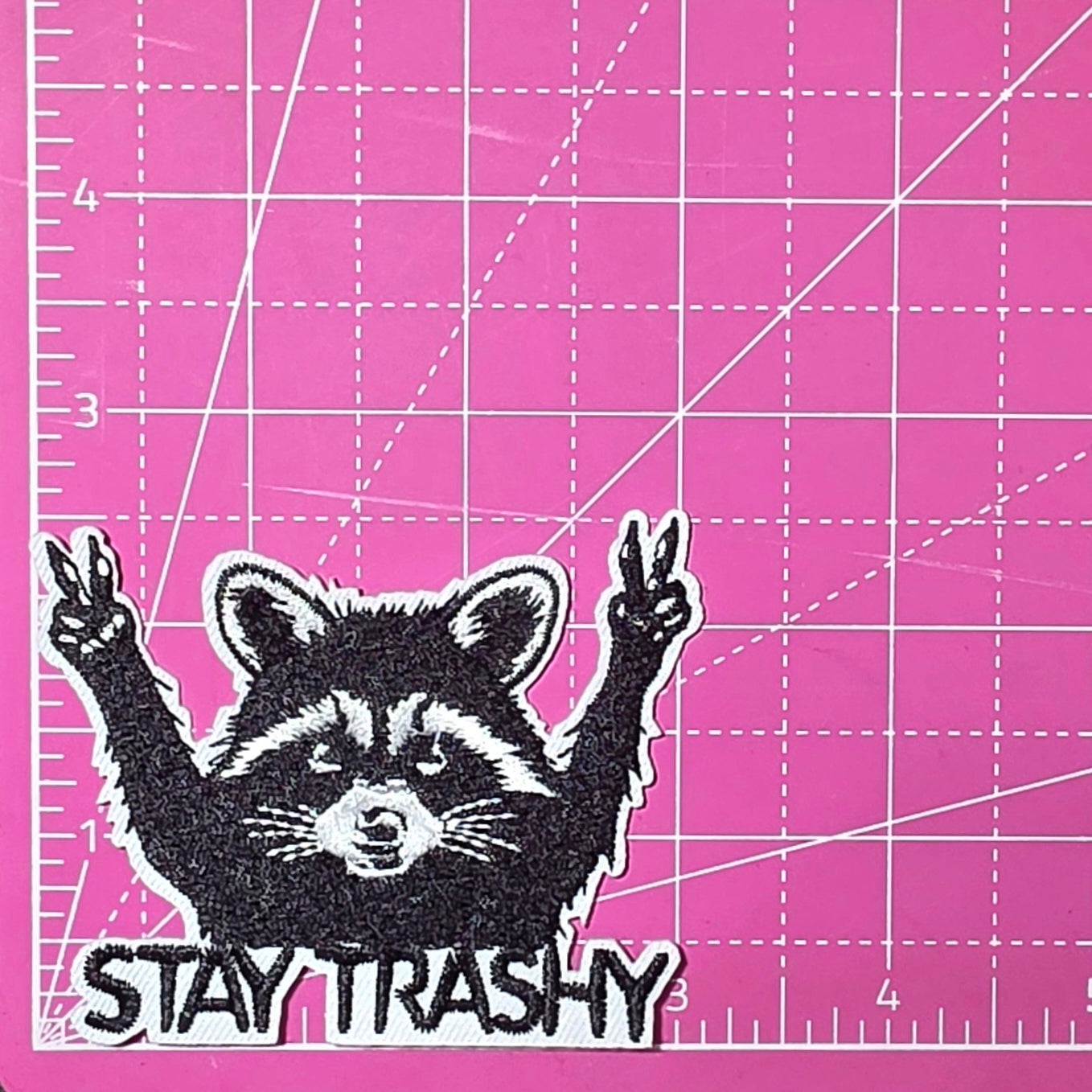 Stay Trashy Raccoon Embroidery Iron On Patch