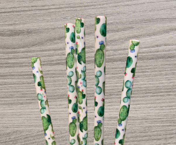 Cactus Southwest Straw Collection – Scratch Decor